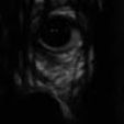 666awkup FACEIT avatar