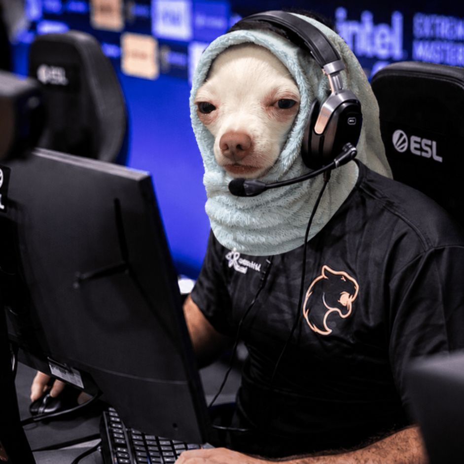frapudo