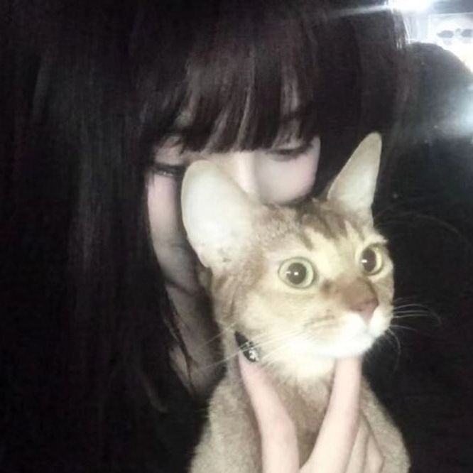 pawdomx