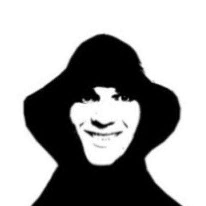 palvik2003 avatar