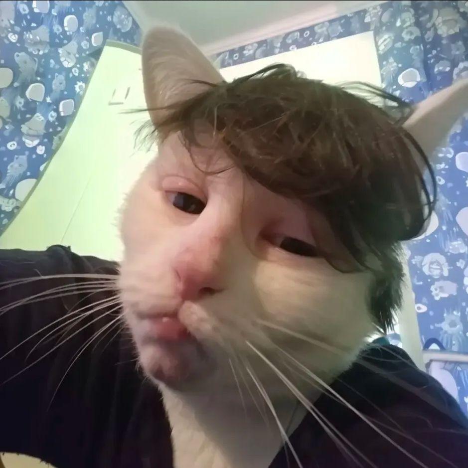 ryspy avatar