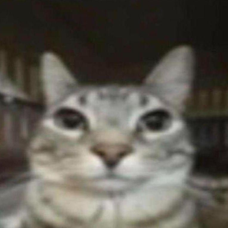 metaxa avatar