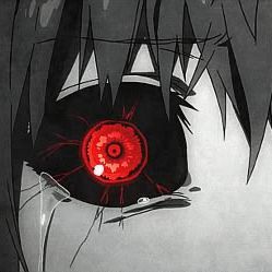 _prada666