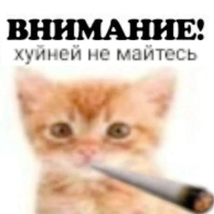 -ks3n