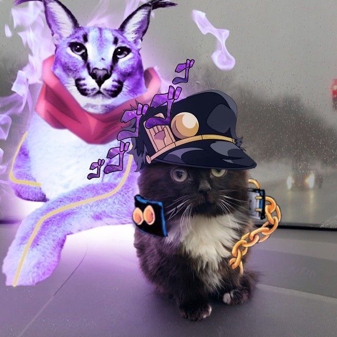 sweqtty avatar