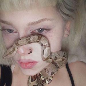 -shaggytyro avatar