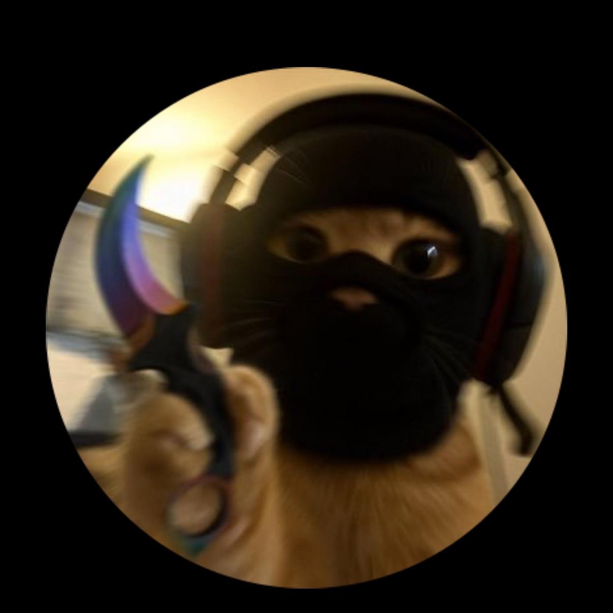 RaivoP avatar