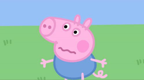SPARTAsX1