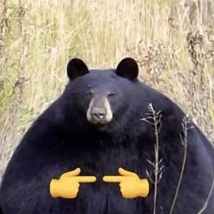 Svaston_ass avatar