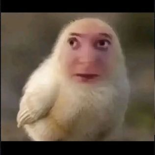 ropzmental