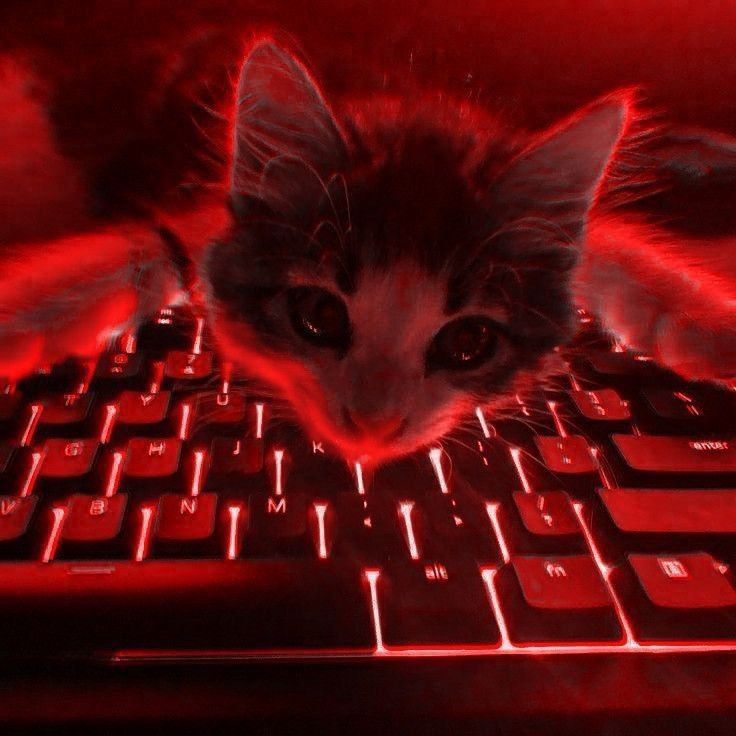 EmmVee_