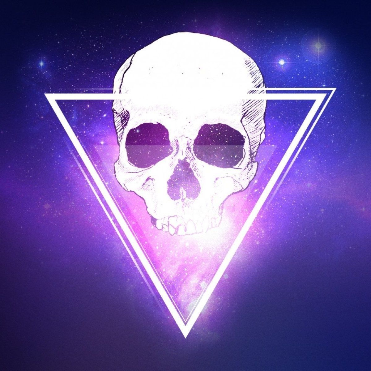 team_Vesto