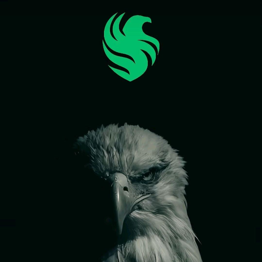 OxygenEagle avatar