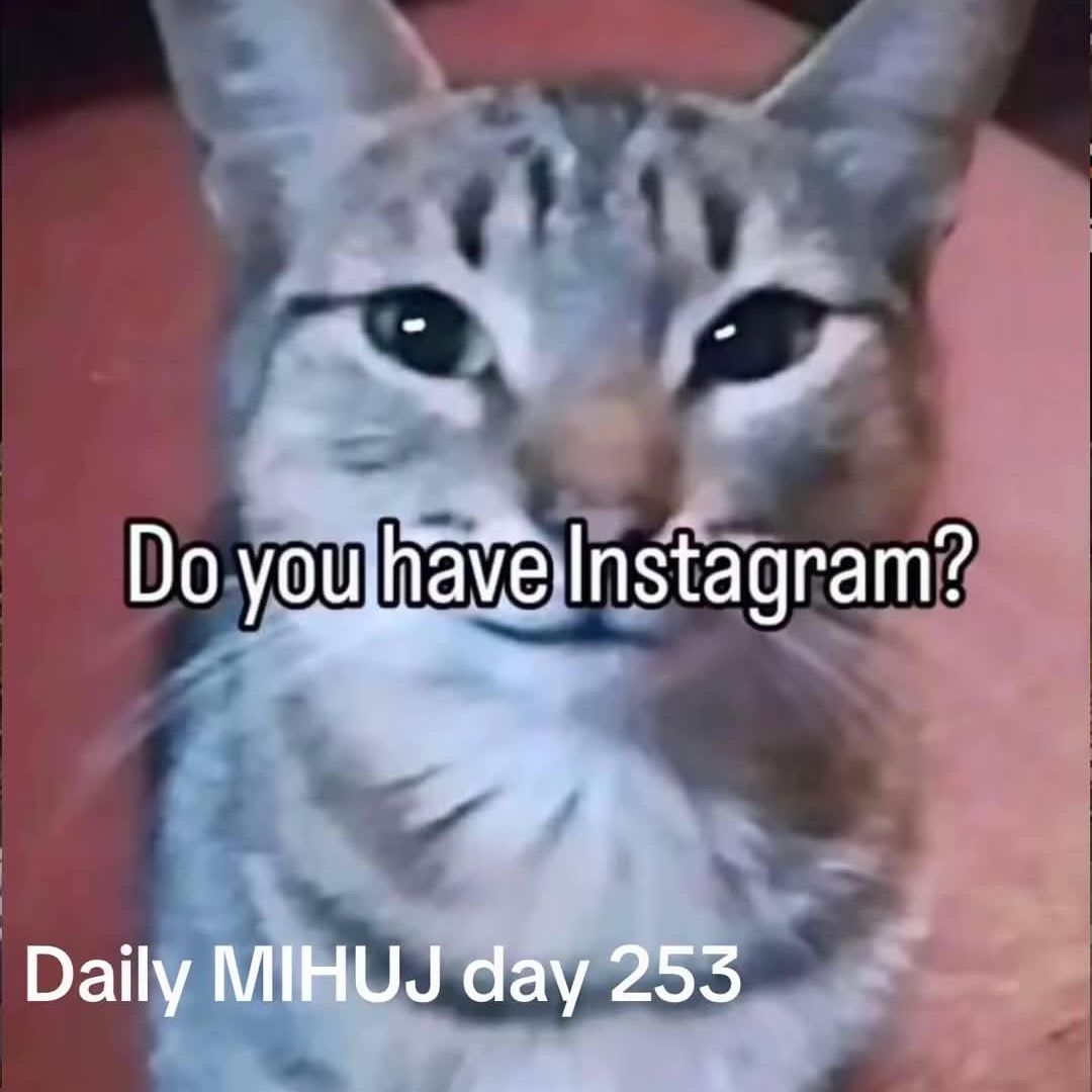 MEOWL2137