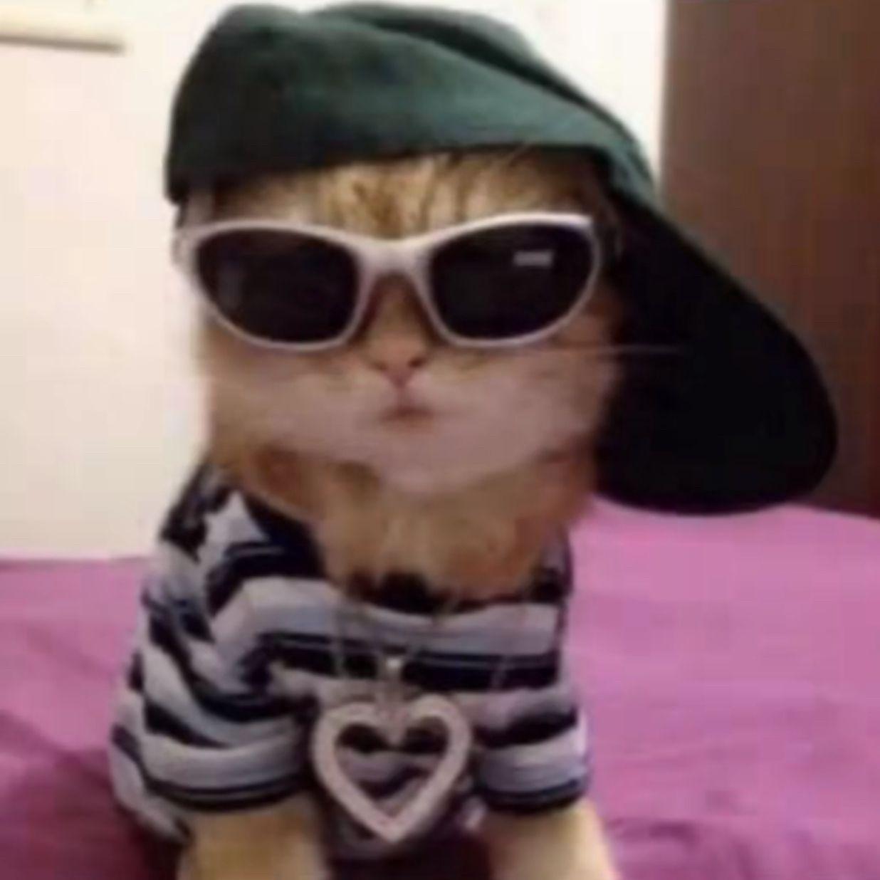 oscie avatar