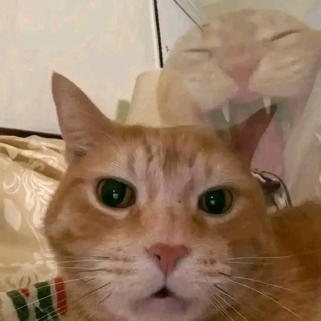 AHUST