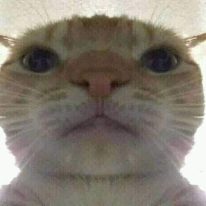 jAMVIL0