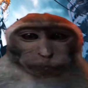 BIG_BOP_ avatar