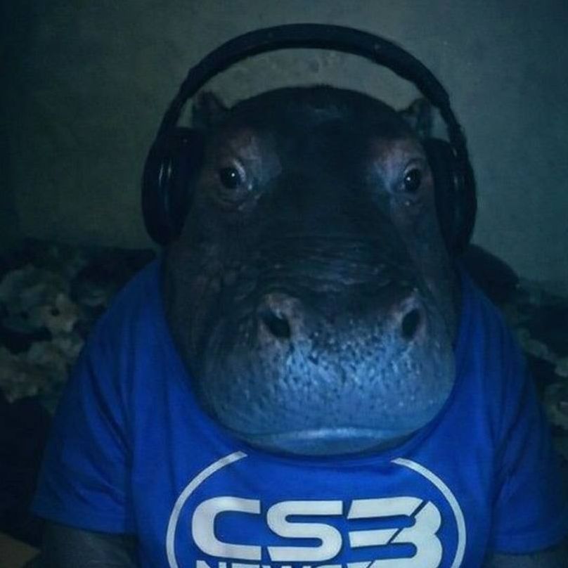 Dekapl1