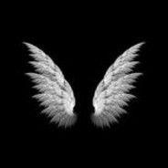 Extremitis avatar
