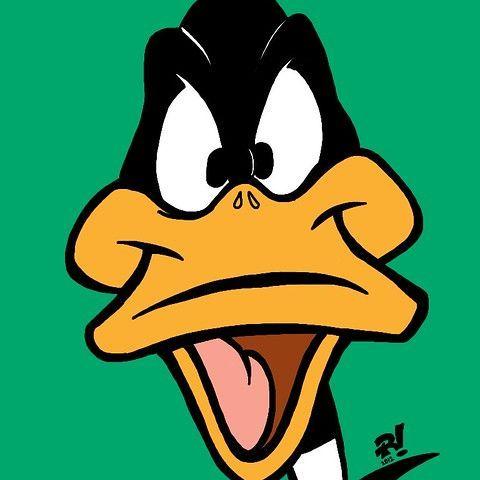 DaffyDuck06 avatar