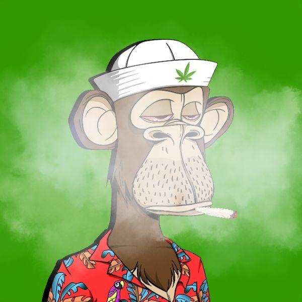 rabooo