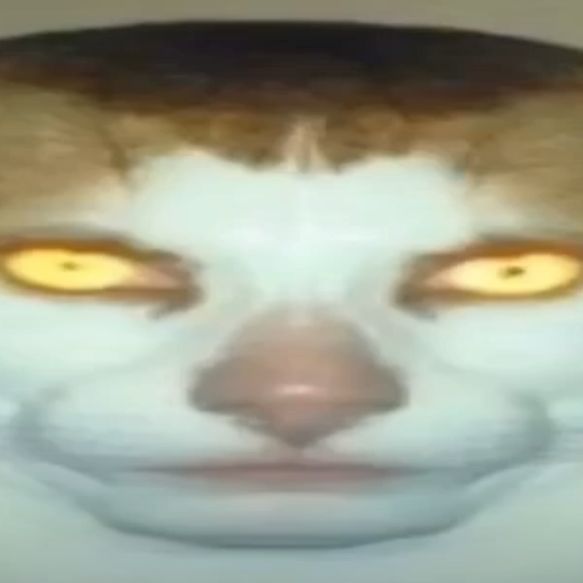 pom1d0rrr avatar
