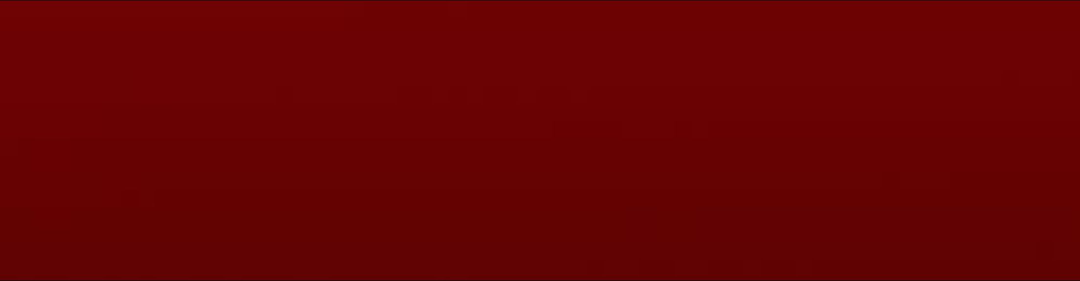 Faceit banner for @birch
