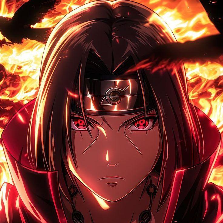 HUI-PUC avatar
