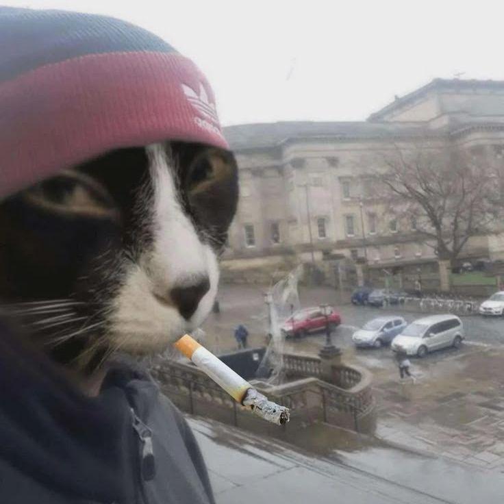 0malpa
