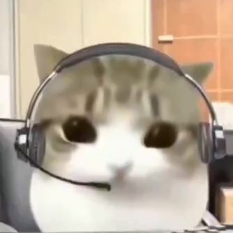 Syn FACEIT avatar