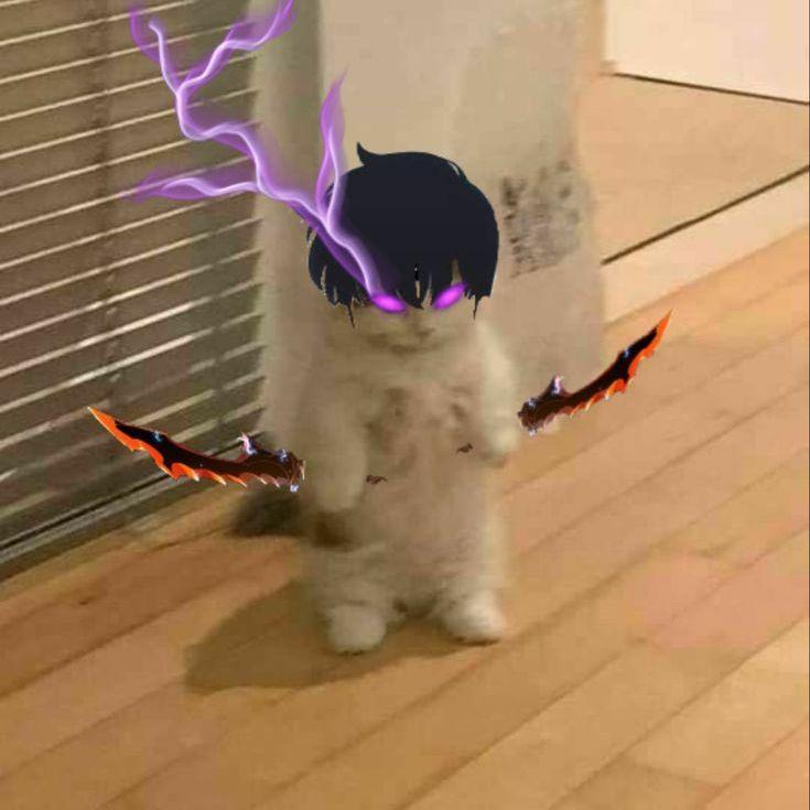 kawagame12