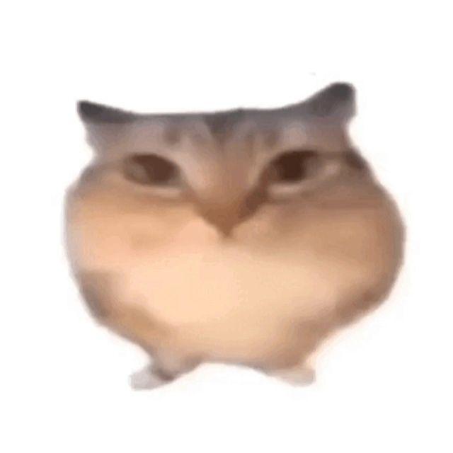 ZoomeR_666 avatar