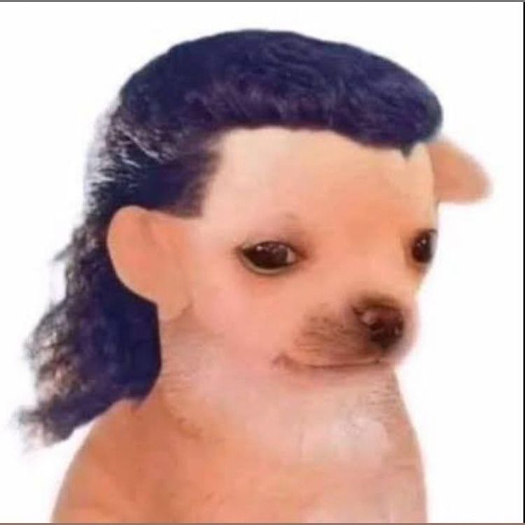 pakdry