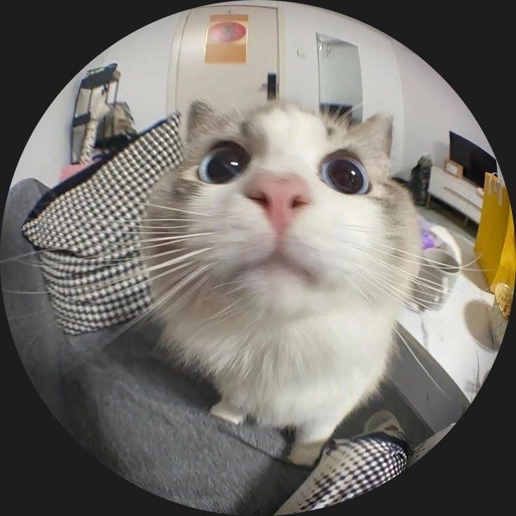 Claudiu_L avatar