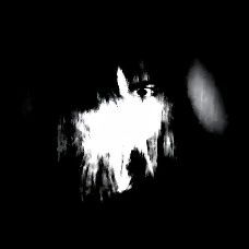 Treefon1 avatar