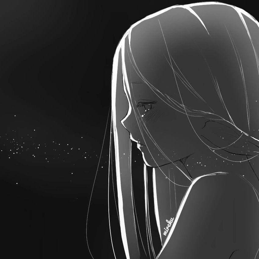 shxnr avatar