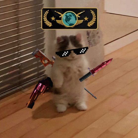 JPRyszard666 FACEIT avatar