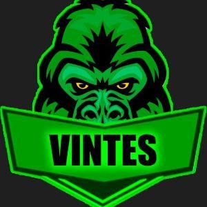 vin_tes avatar