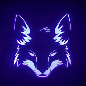 JollyFox6996 avatar