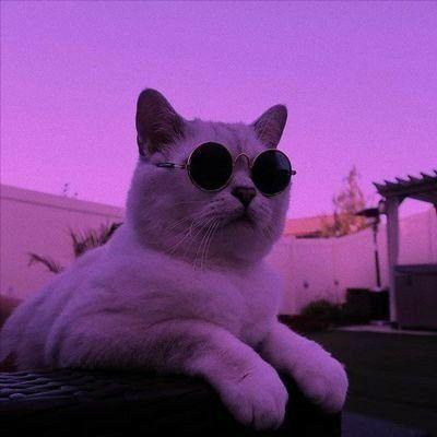 Fouxy avatar