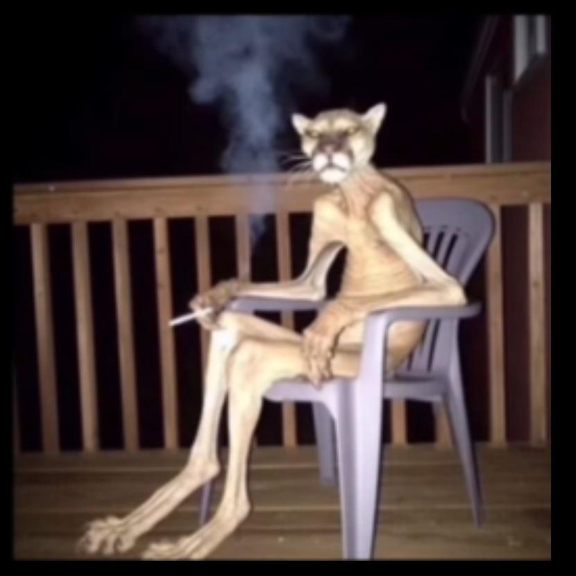 16yoGoodplay avatar