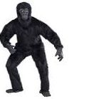 M3D1C1N4 avatar