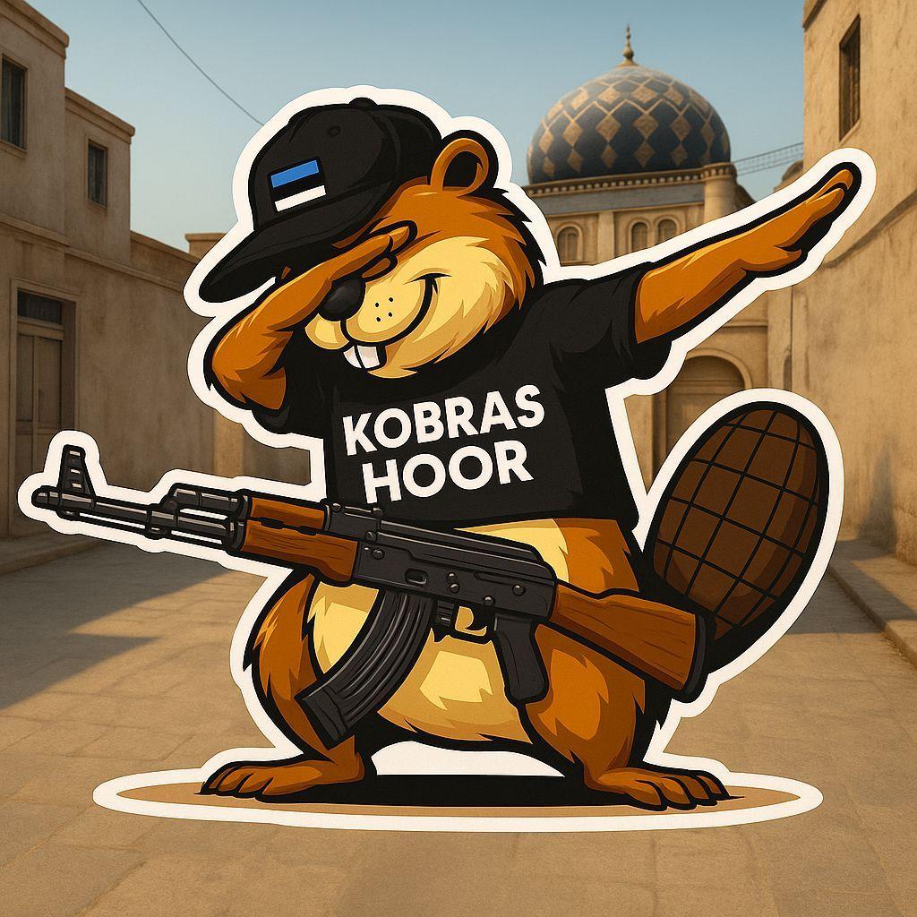 Veebel avatar