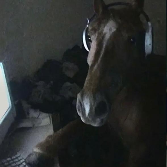 mikalele7 avatar