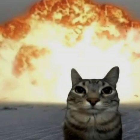 puffwarn avatar