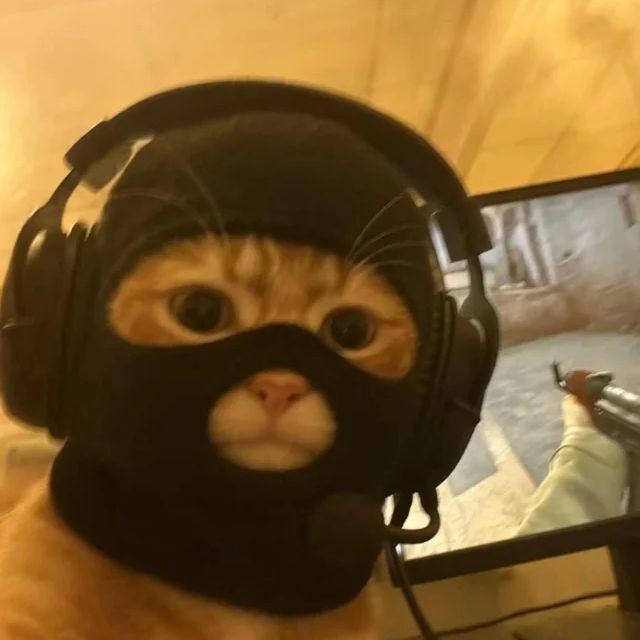 Zo67 avatar
