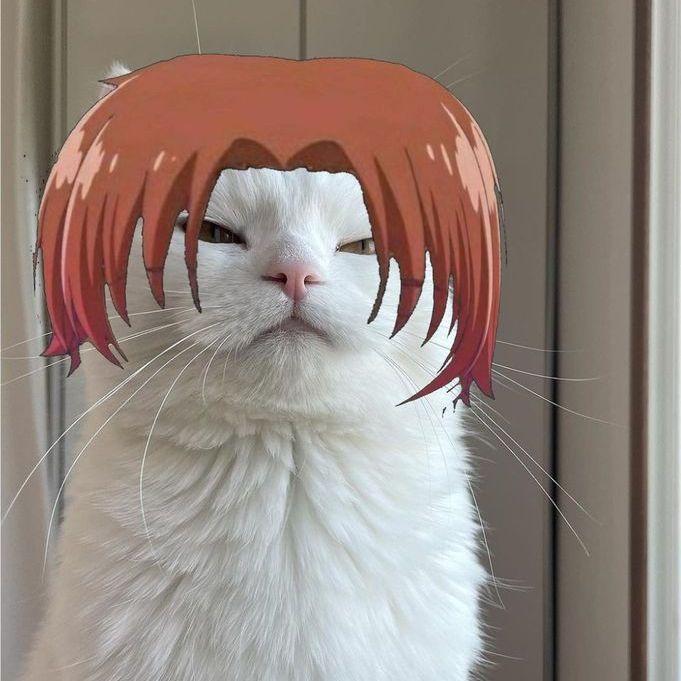 TA4ERKA3 avatar