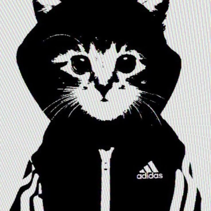 zanxda avatar