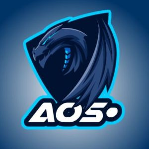 Asset Of Skill